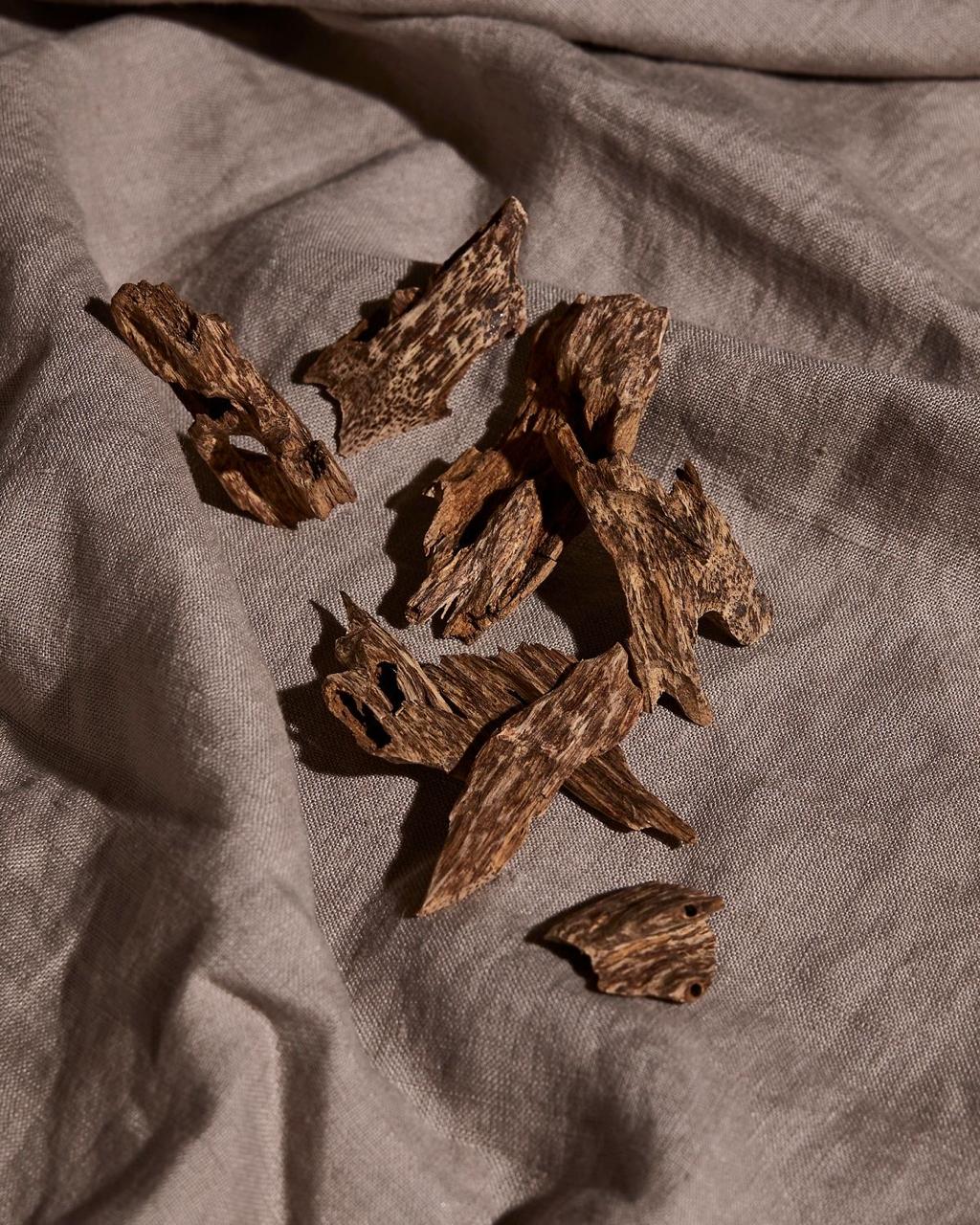 Arab oudh